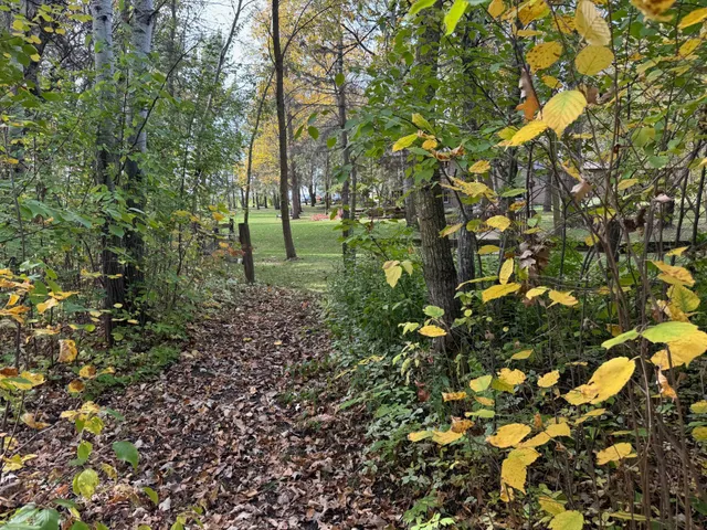 $259,000 | 21136 Highway 89, Roseau, MN 56751