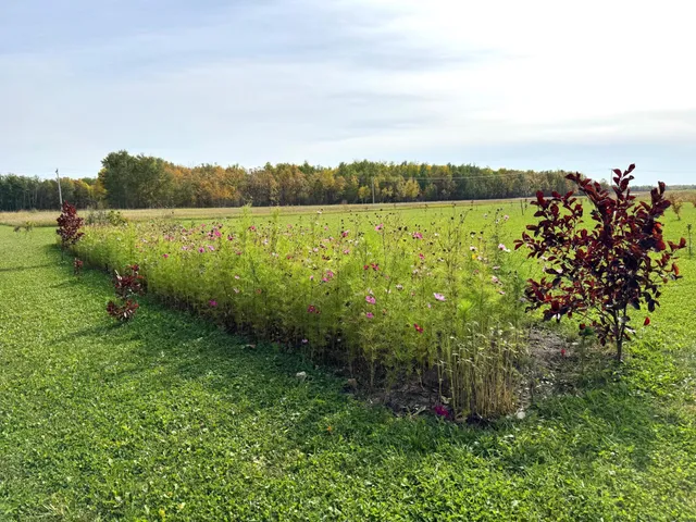 $259,000 | 21136 Highway 89, Roseau, MN 56751