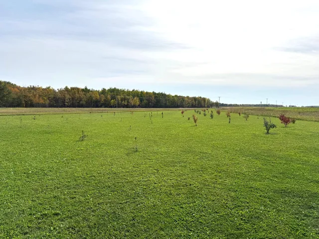 $259,000 | 21136 Highway 89, Roseau, MN 56751