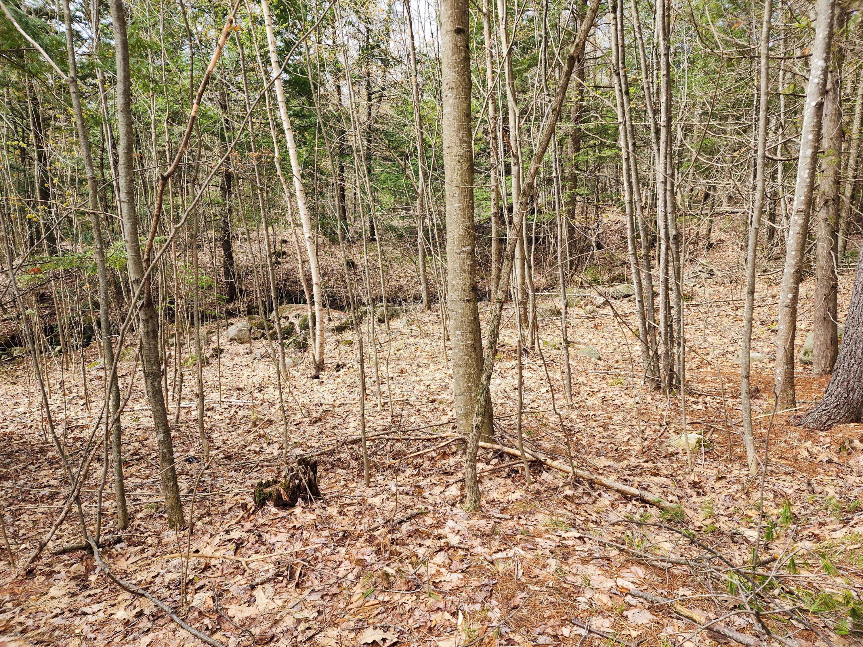 Lot 038 South Road Livermore, ME 04253 - Photo 7 of 9 20230505_102303