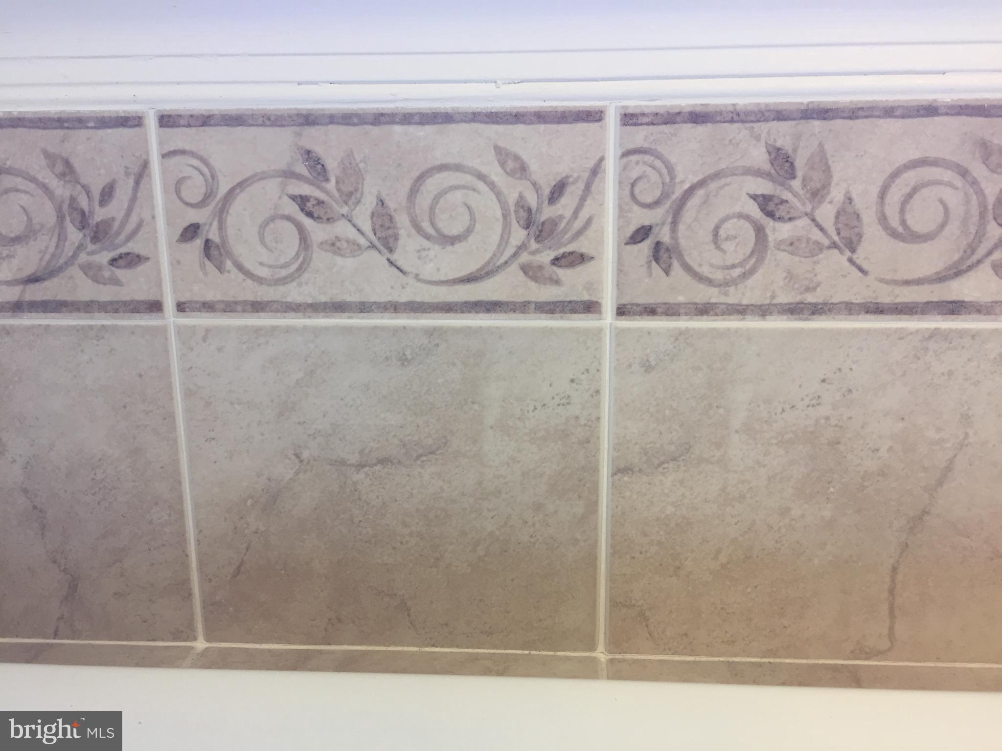 9702 Decatur Road Baltimore, MD 21220 - Photo 10 of 14 Ceramic designed tile