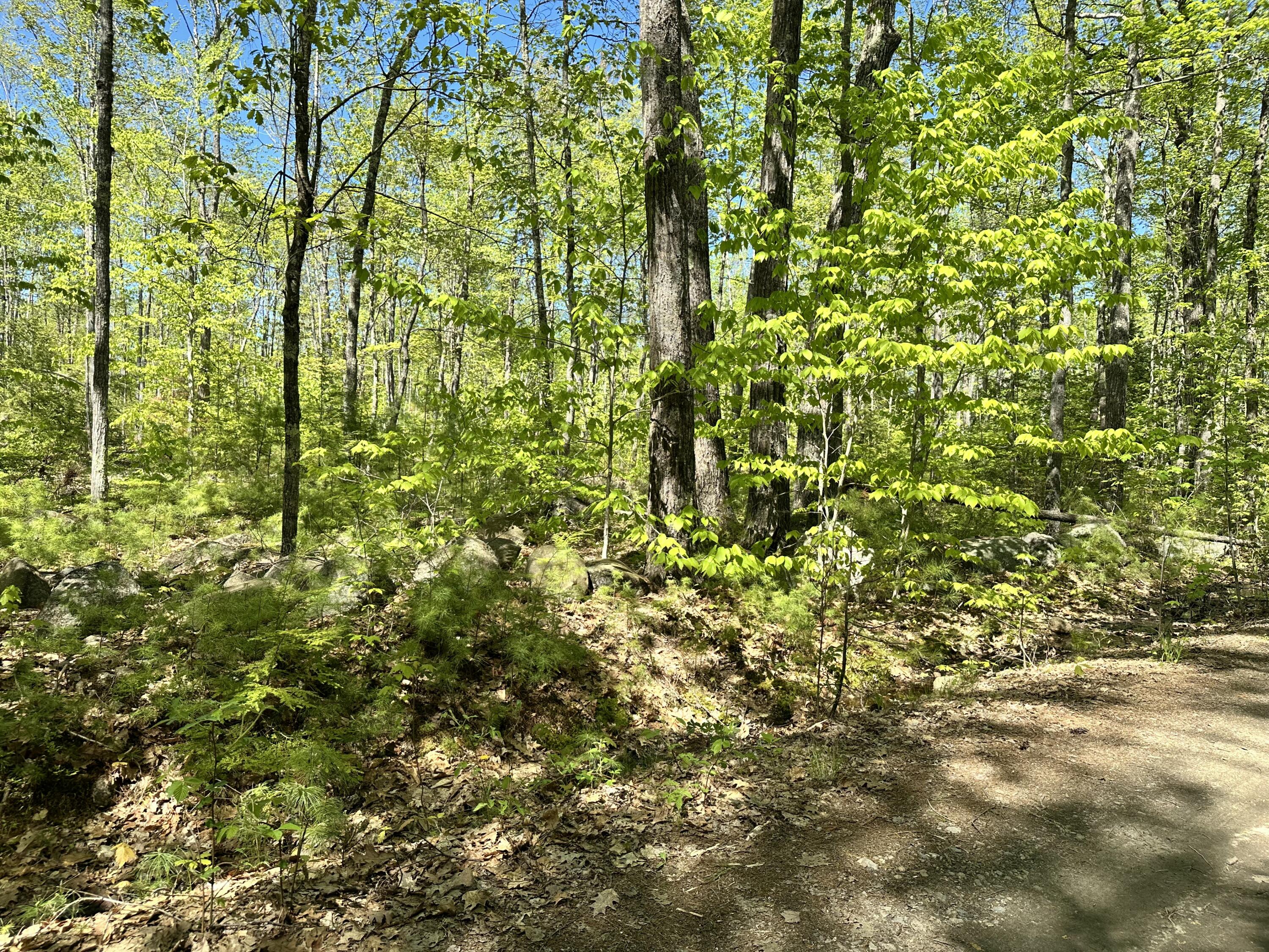 19 Grist Mill Road Naples, ME 04055 - Photo 23 of 31 Land