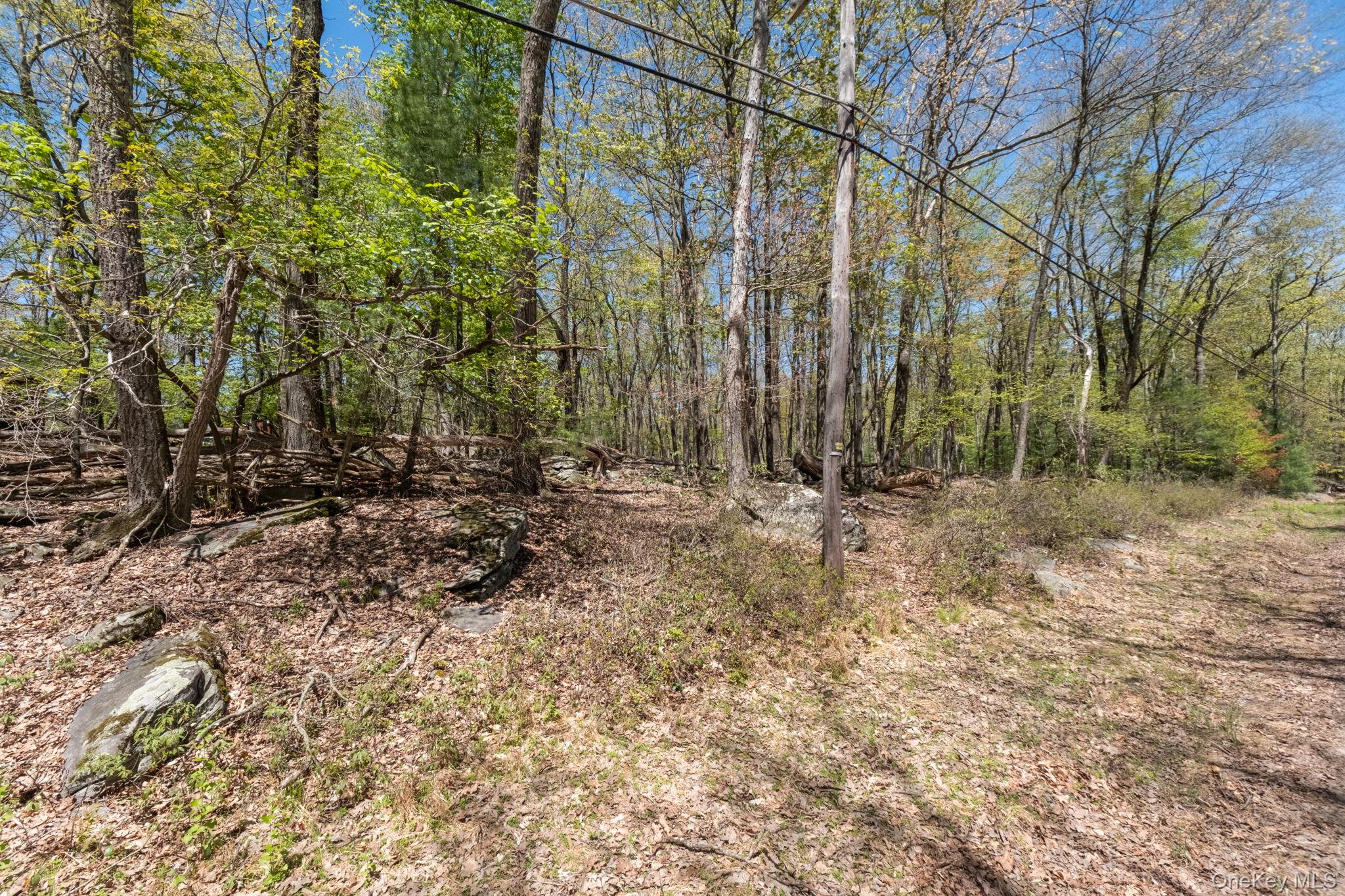 Wolf Pond Road Wurtsboro, NY 12790 - Photo 9 of 13
