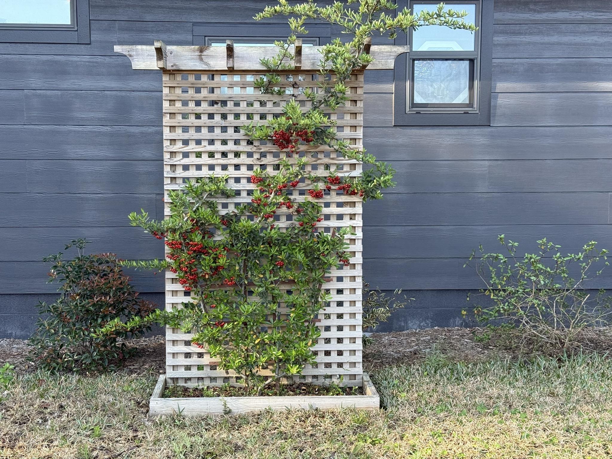 146 Maple Tree Lane Elkton, FL 32033 - Photo 72 of 75