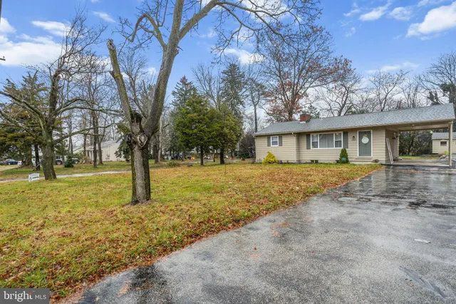 a tree in the house next to a yard