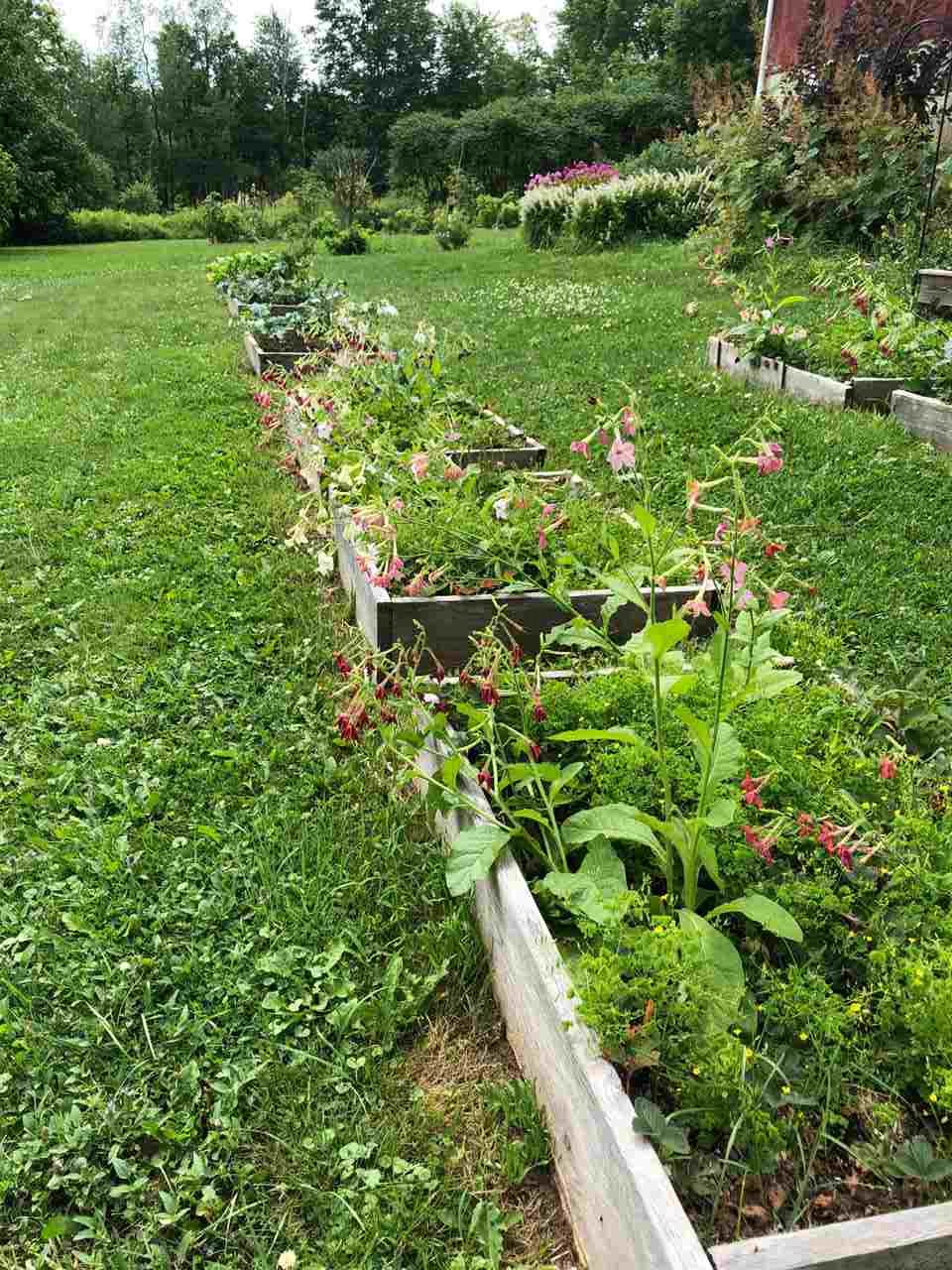 1616 Pond Road Hinesburg, VT 05461 - Photo 38 of 40