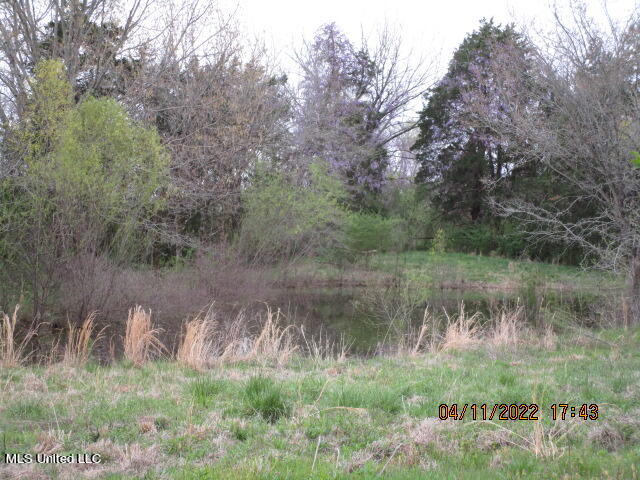 2146 Aiken Road Senatobia, MS 38668 - Photo 2 of 40 IMG_2872