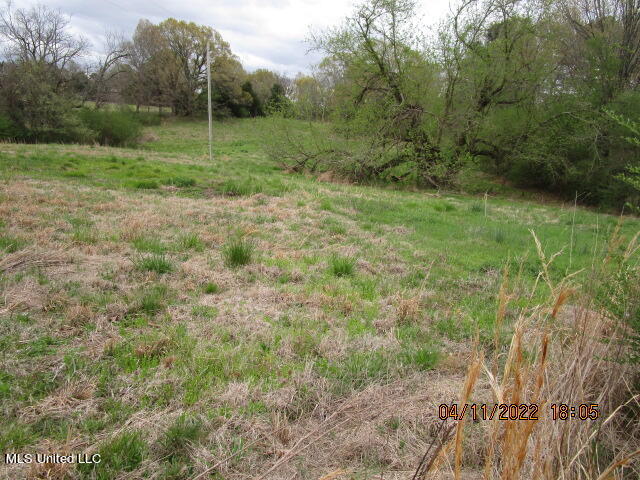 2146 Aiken Road Senatobia, MS 38668 - Photo 39 of 40 IMG_2909
