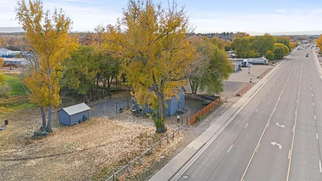 a view of backyard and trees