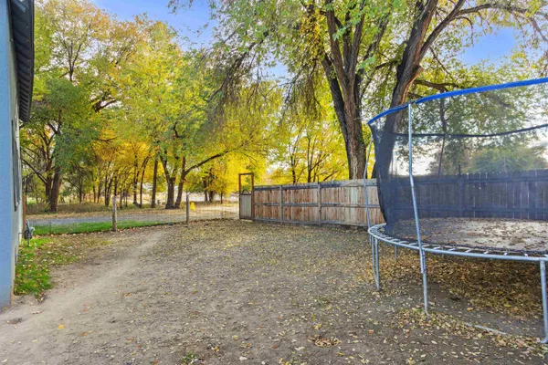 a view of backyard with trampoline