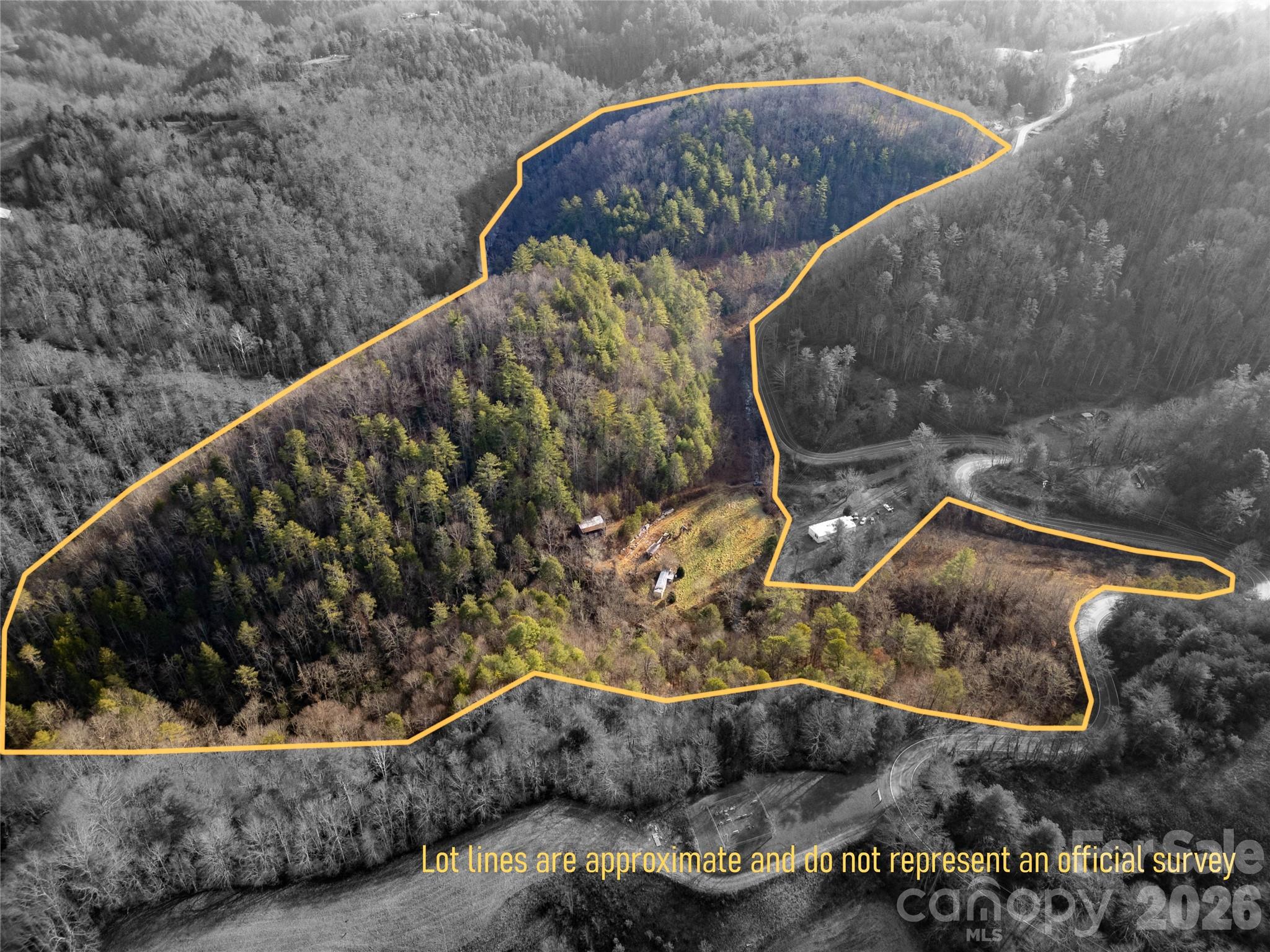 a living room with a couch