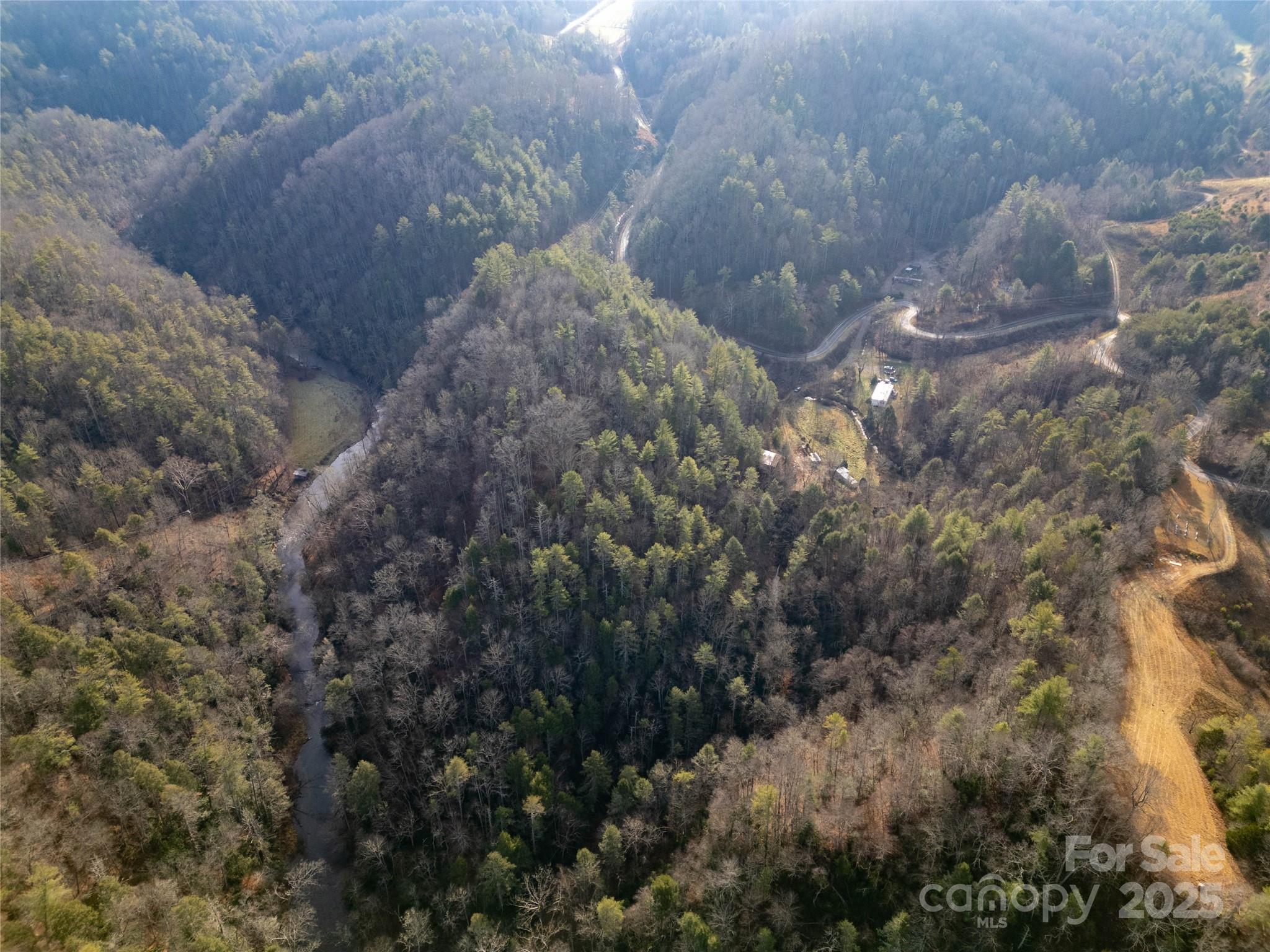 1573 Revere Road Marshall, NC 28753 - Photo 1 of 17 a view of a forest that has a tree