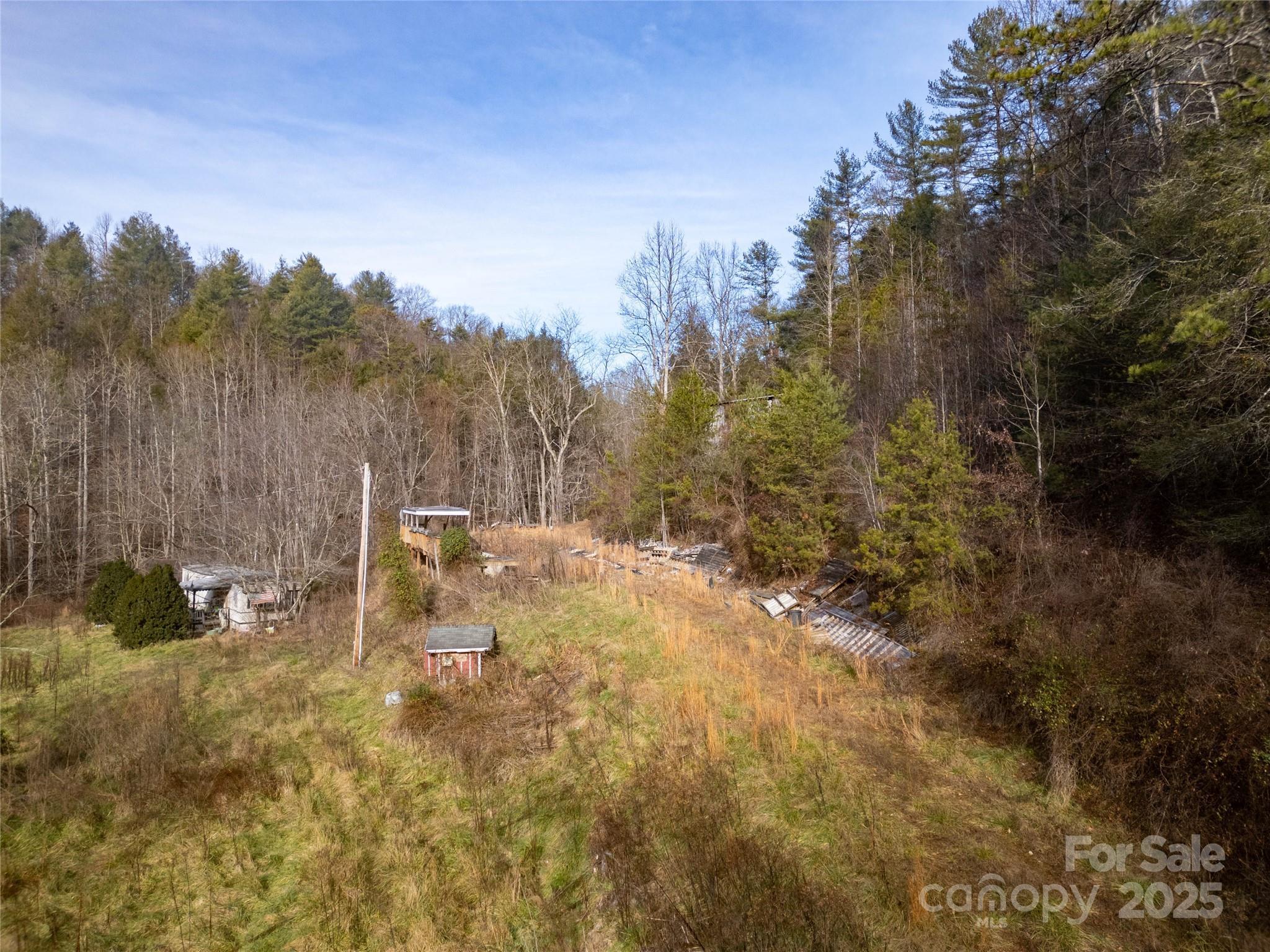 1573 Revere Road Marshall, NC 28753 - Photo 11 of 17 a view of a yard
