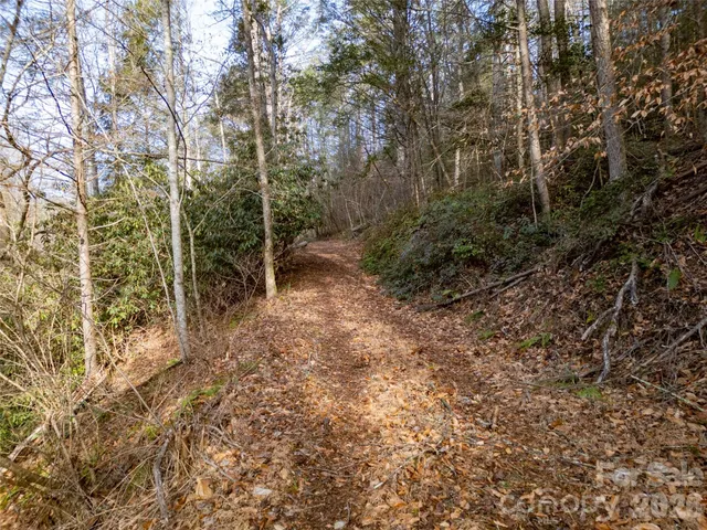 a view of backyard with green space
