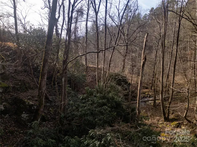 a backyard of a house with lots of plants and trees