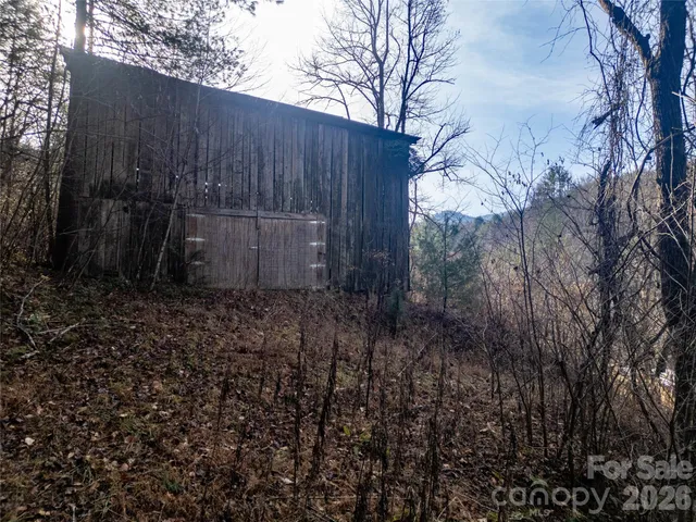 a view of a forest with trees in the background