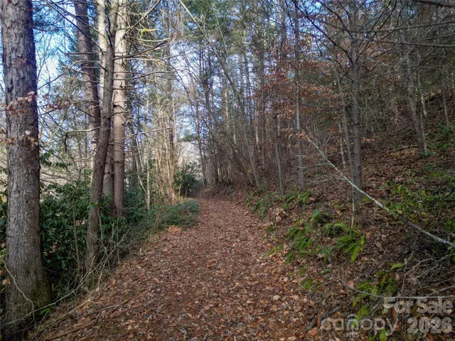 a backyard of a house with lots of plants and trees