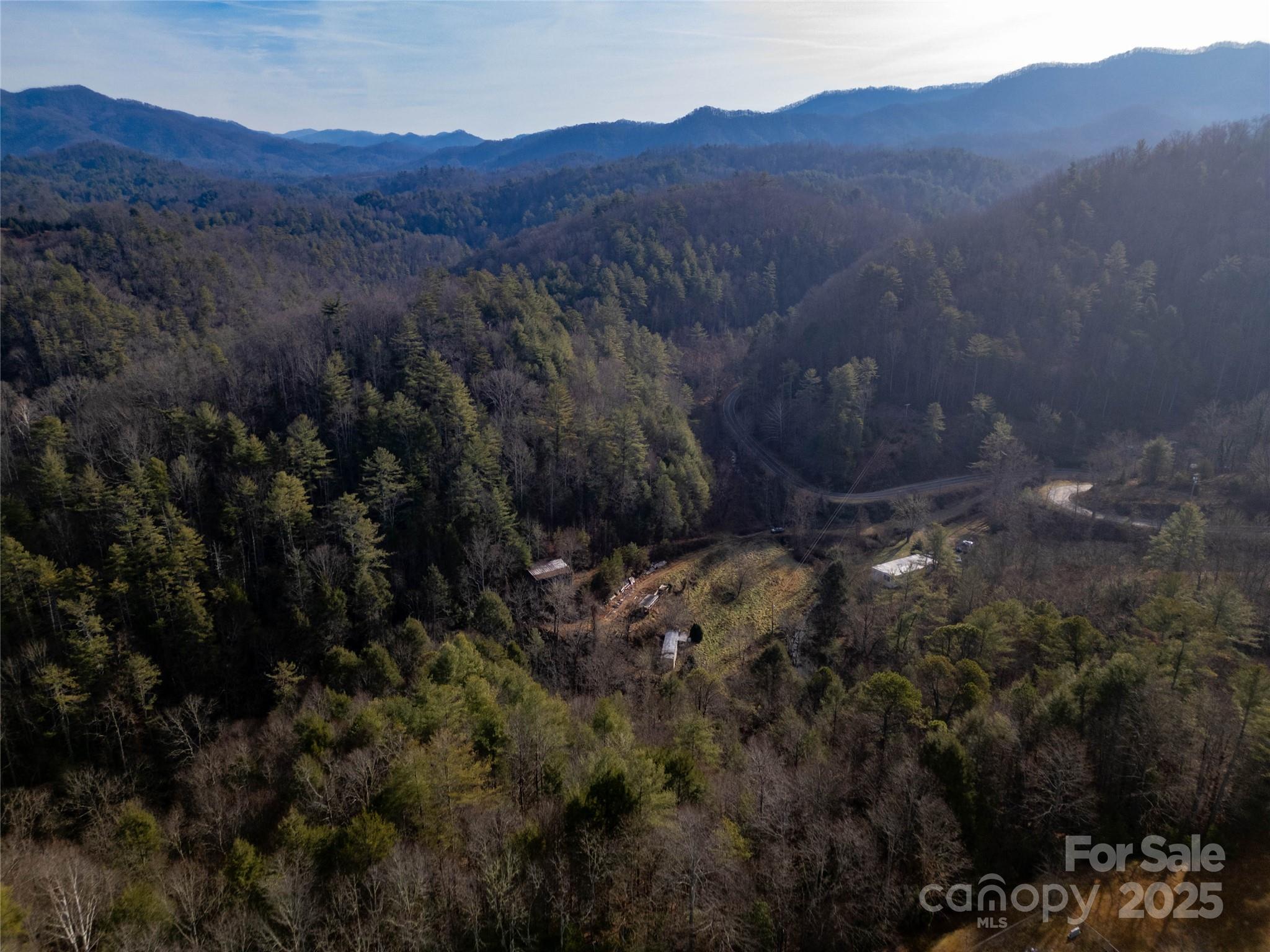1573 Revere Road Marshall, NC 28753 - Photo 4 of 17 a view of a forest with a mountain in the background
