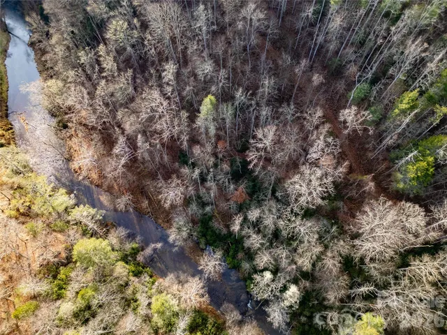 a view of a dry yard with lots of bushes