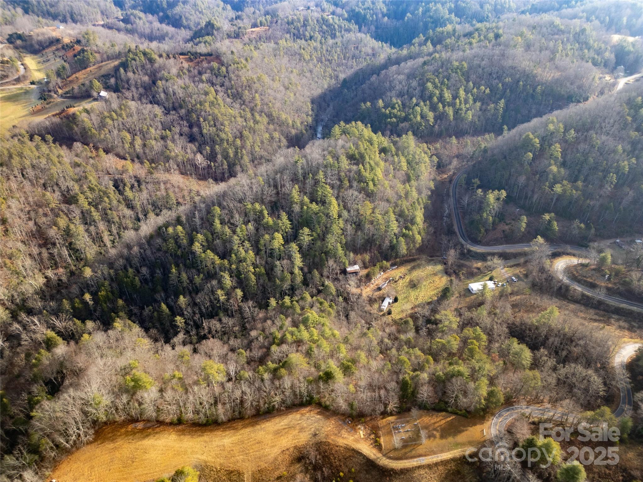 1573 Revere Road Marshall, NC 28753 - Photo 5 of 17 a view of swimming pool