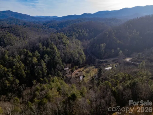 a view of a forest with a mountain in the background