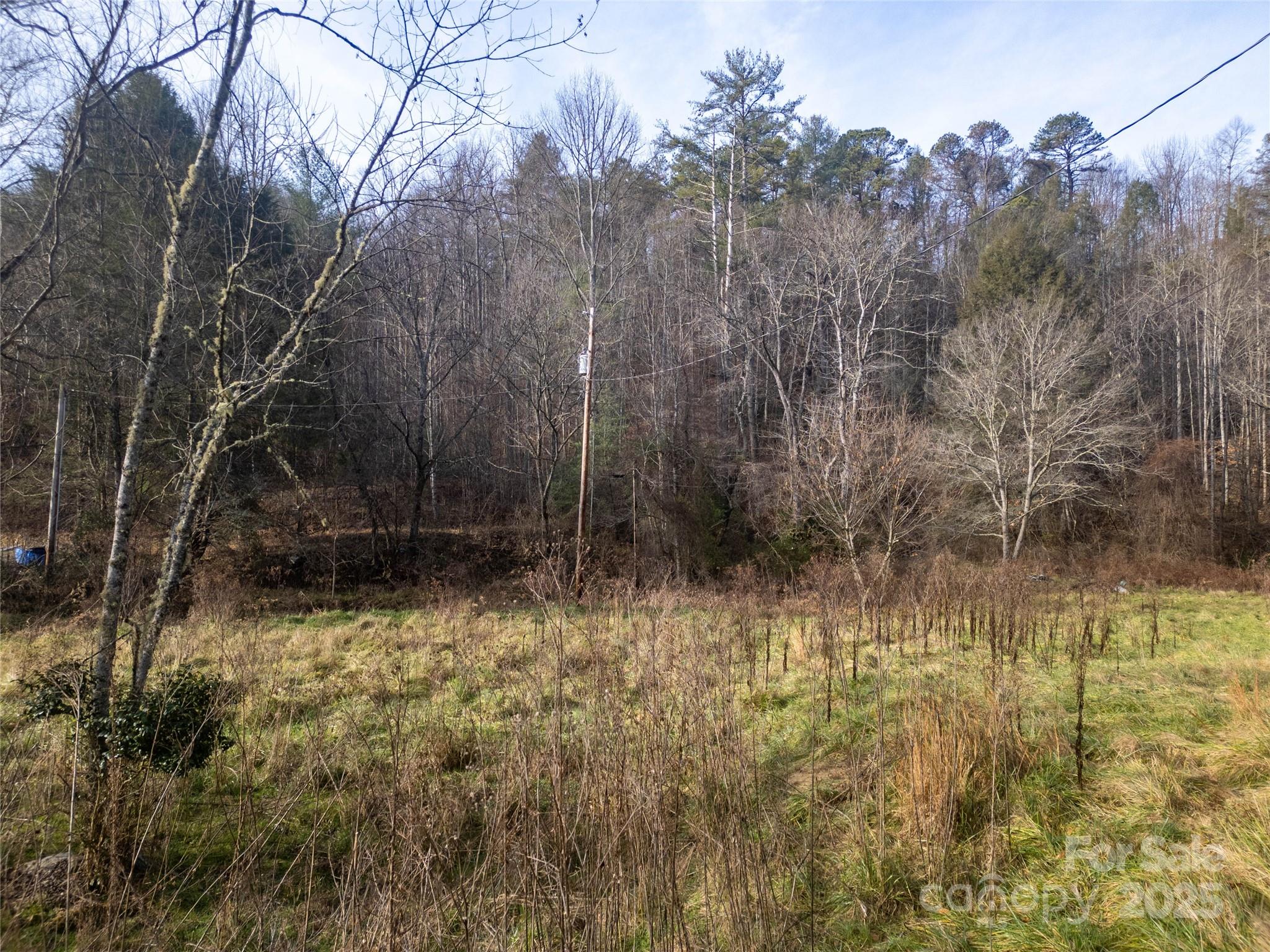 1573 Revere Road Marshall, NC 28753 - Photo 8 of 17 a view of backyard with green space