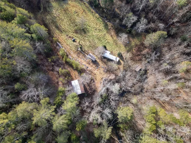 a view of backyard with green space