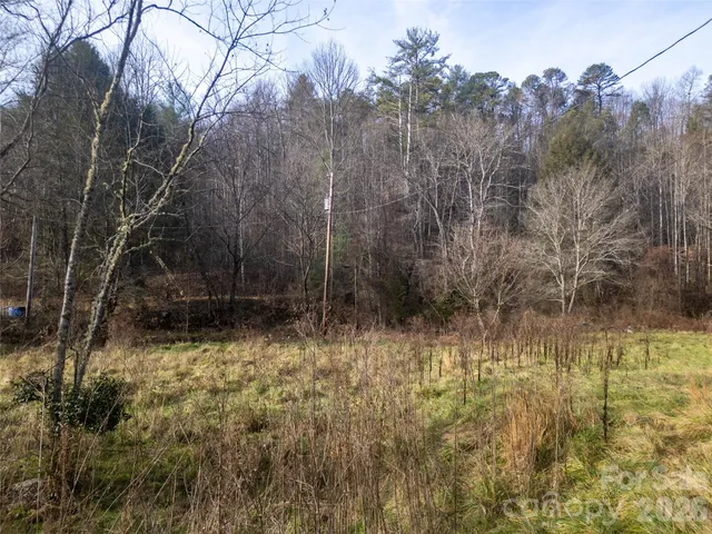 a view of a yard with mountain