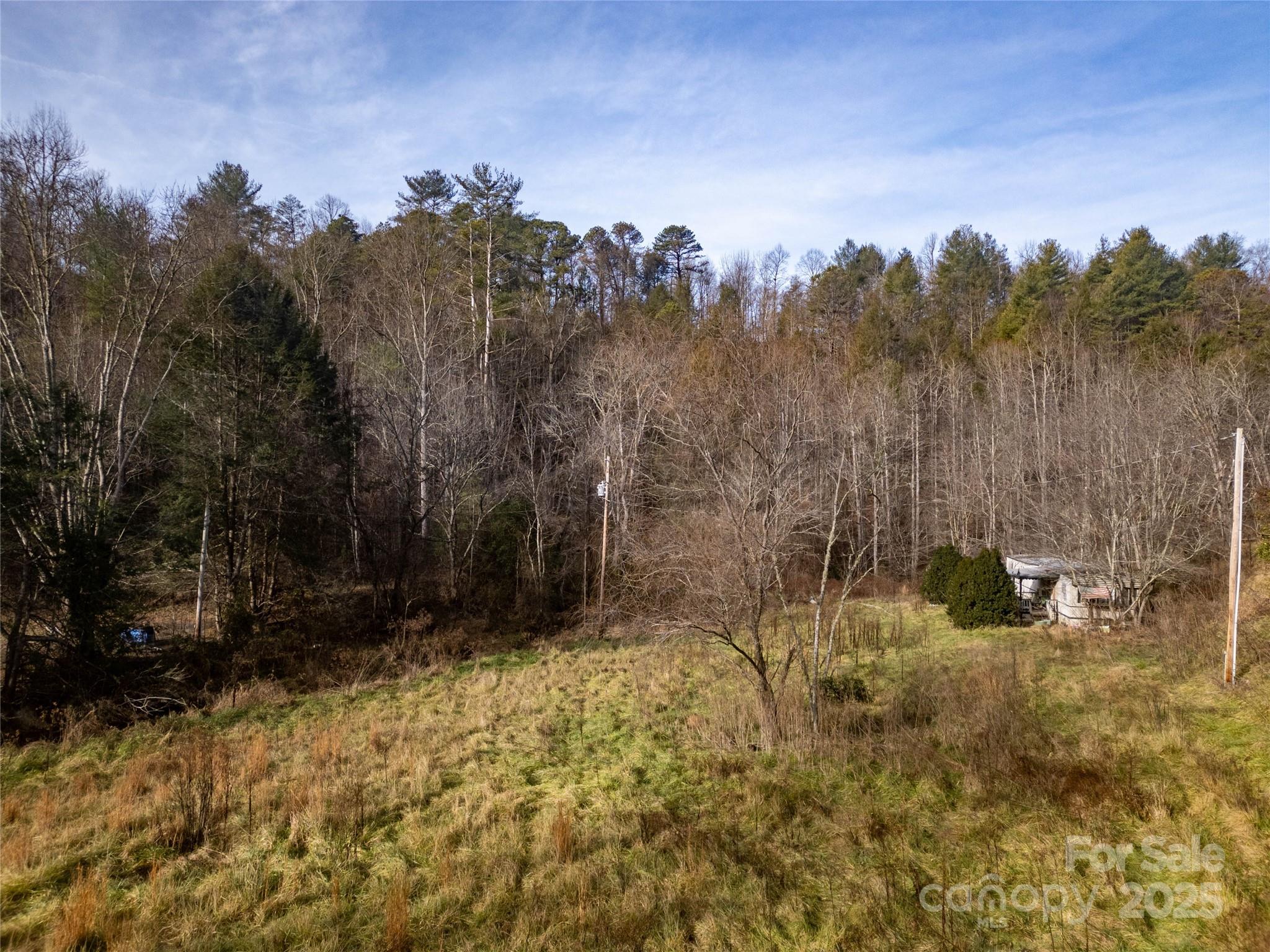 1573 Revere Road Marshall, NC 28753 - Photo 10 of 17 a view of a pathway of a building