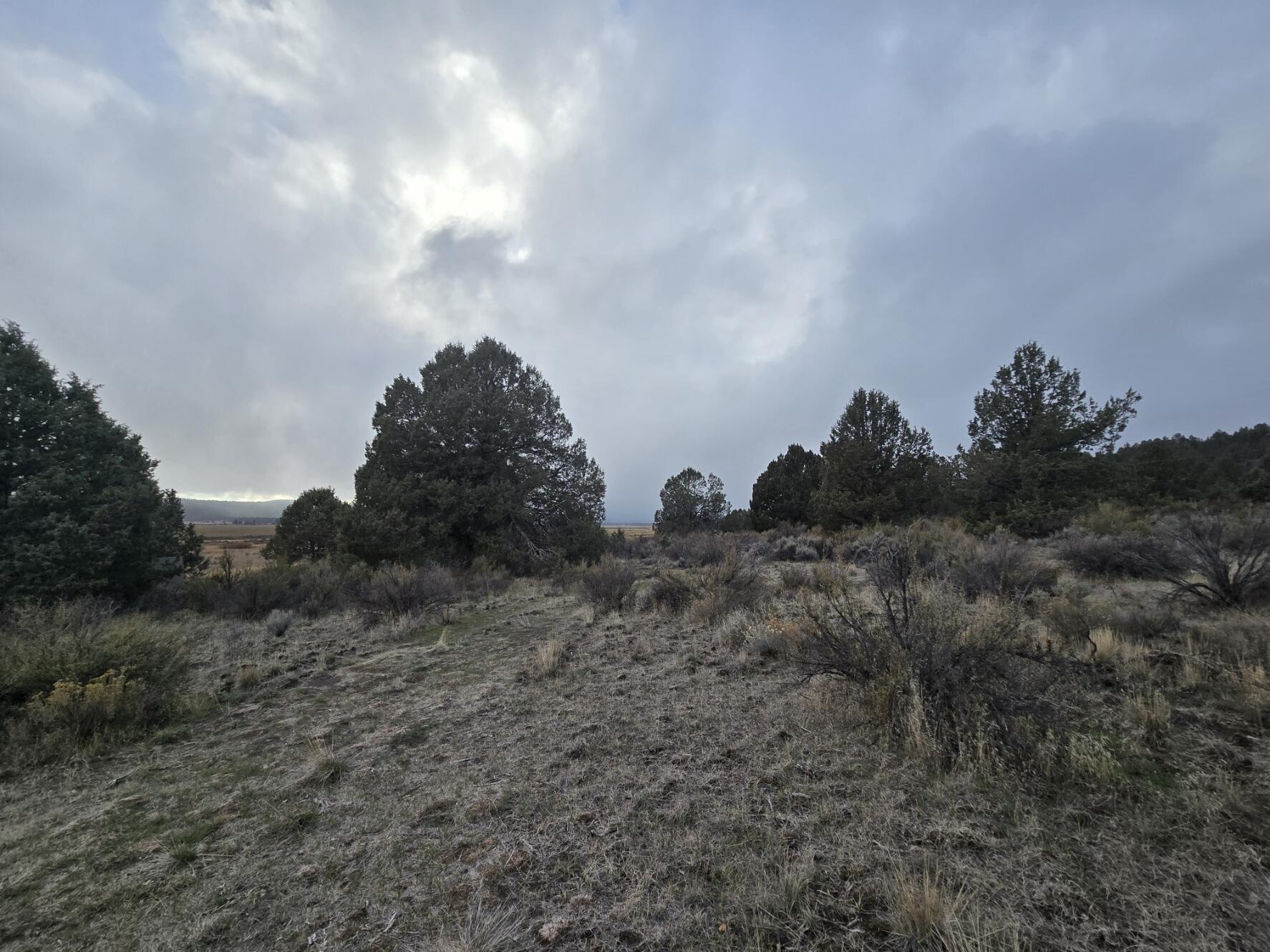 Drews Road, Unit 10 Chiloquin, OR 97624 - Photo 3 of 6 20251025_170518