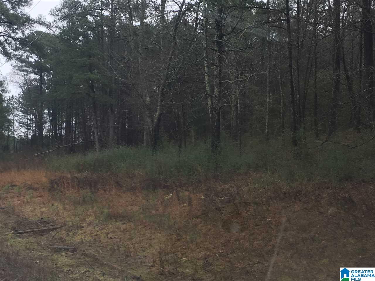 1245 Eureka Road, Unit 2 Lincoln, AL 35096 - Photo 26 of 32