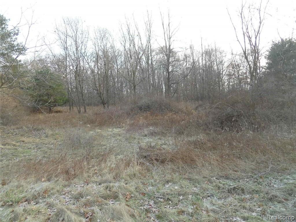 Par Rochester Road Dryden, MI 48428 - Photo 3 of 3