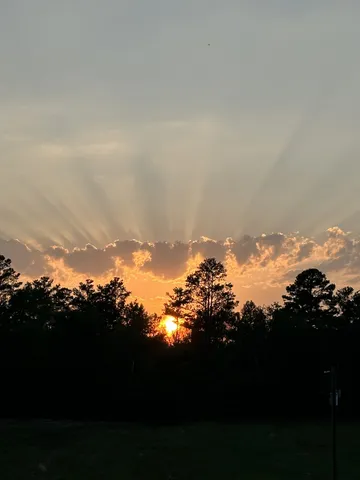 a view of a room with lots of wooden furniture