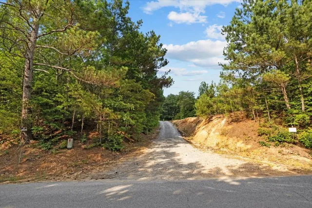 a view of a yard with plants and trees