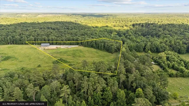 $260,000 | 5460 Sulphur Creek Road, Big Sandy, TN 38221