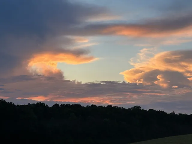 a room with furniture and a window