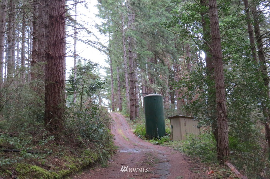 115 East Island Crest Road Grapeview, WA 98546 - Photo 14 of 16 Gallery Image 14