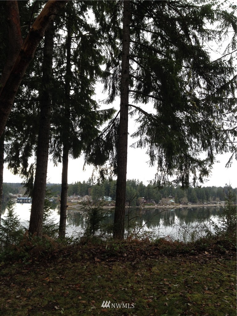 115 East Island Crest Road Grapeview, WA 98546 - Photo 15 of 16 Gallery Image 15
