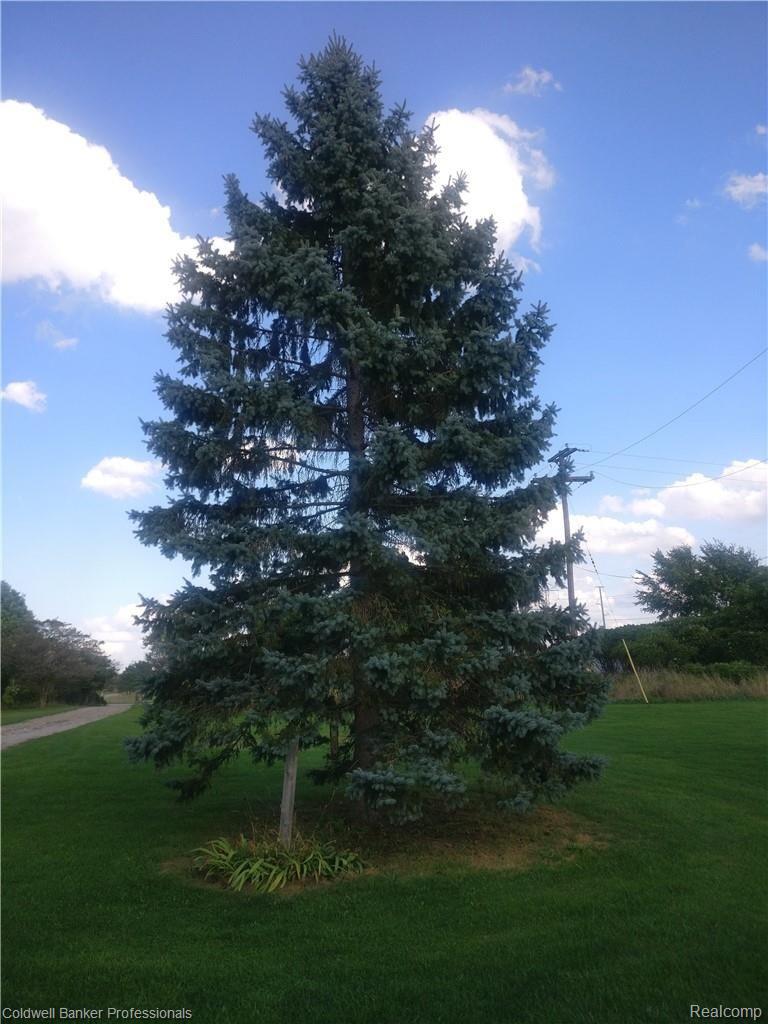 2354 Bullock Road Lapeer, MI 48446 - Photo 13 of 55 IMG_20180905_171511.jpg