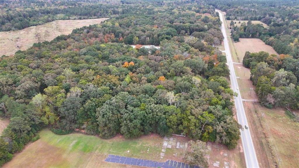 12895 Highway 36 Covington, GA 30014 - Photo 3 of 11 a view of a yard with plants and large trees