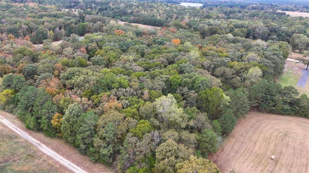 12895 Highway 36 Covington, GA 30014 - Photo 4 of 11 a view of a forest with a street
