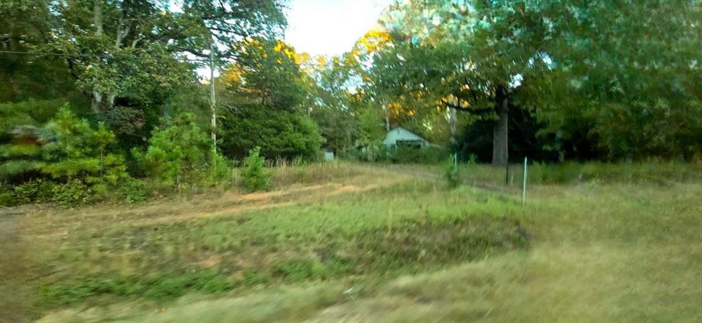 12895 Highway 36 Covington, GA 30014 - Photo 6 of 11 a view of a green field with plants and large trees