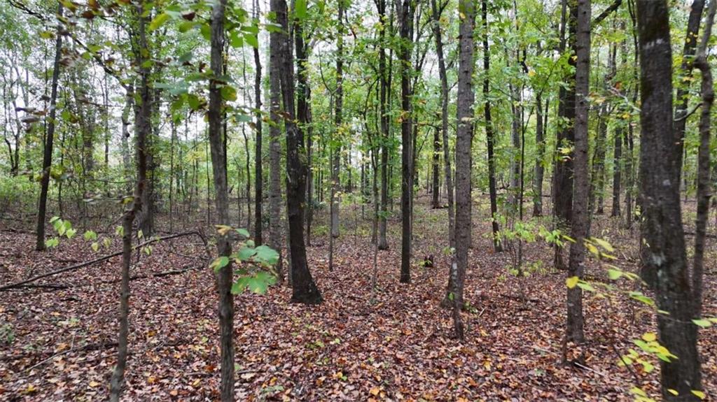 12895 Highway 36 Covington, GA 30014 - Photo 9 of 11 a view of forest