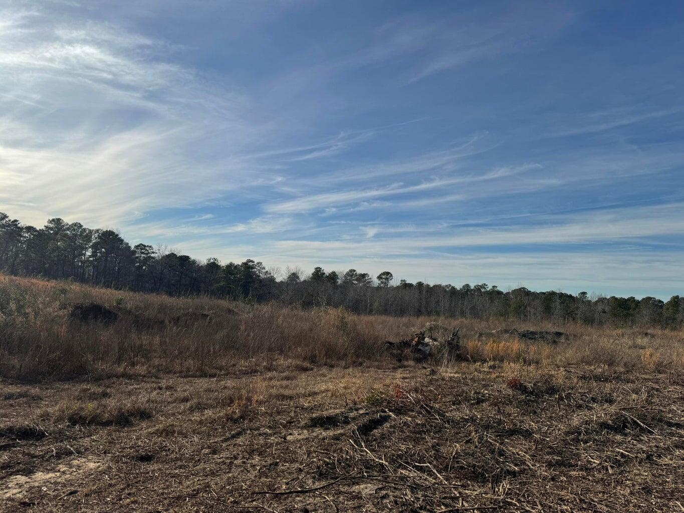 450 Bergen Road North Augusta, SC 29860 - Photo 3 of 9 20260113162532921011000000-o