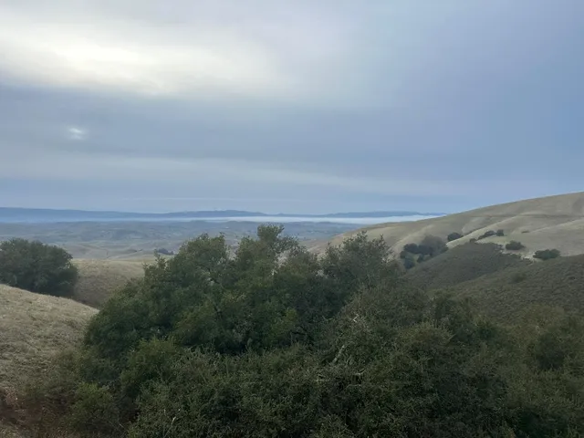a view of a field with an ocean