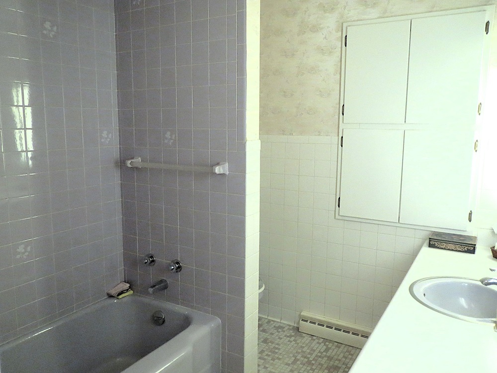 1027 Bluff Road Dixon, IL 61021 - Photo 12 of 48 a bathroom with a sink and a tub