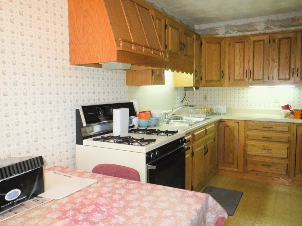 1027 Bluff Road Dixon, IL 61021 - Photo 32 of 48 a kitchen with a stove sink and cabinets