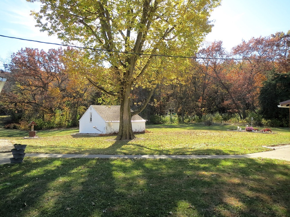 1027 Bluff Road Dixon, IL 61021 - Photo 44 of 48 a swimming pool with trees in the background