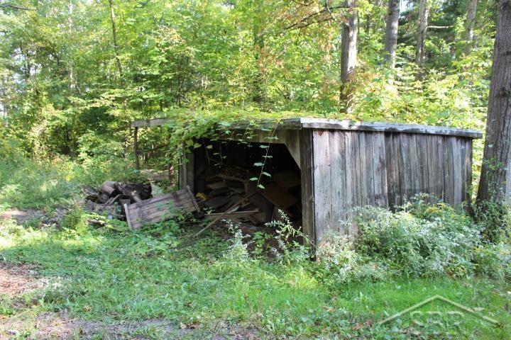 322 South Castor Road Shepherd, MI 48883 - Photo 24 of 34
