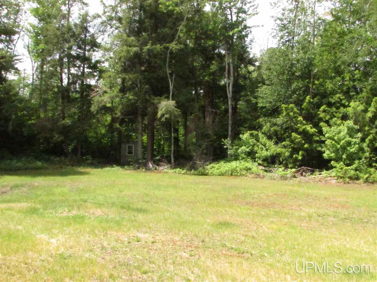 N12426 Driggs River Road Seney, MI 49883 - Photo 23 of 74 Gallery Image 23